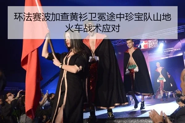 huan-fa-sai-bo-jia-cha-huang-shan-wei-mian-tu-zhong-zhen-bao-dui-shan-di-huo-che-zhan-shu-ying-dui-3-922.jpg